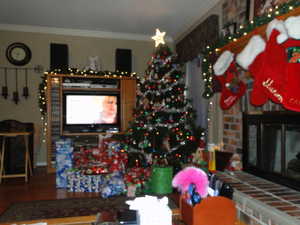 2010 CHRISTMAS-BAILEE DANCE COMP-SCIENCE PROJECT 006.jpg