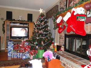 2010 CHRISTMAS-BAILEE DANCE COMP-SCIENCE PROJECT 008.jpg